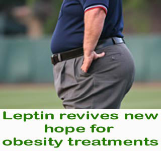 Leptin - hope for Obesity treatment