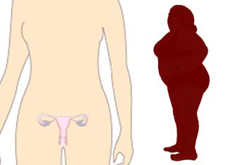 Ovary and Obesity