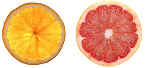 Oraneg and Grapefruit slice