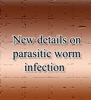 Parasitic Worm Infection