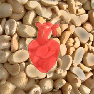 Peanuts, Heart