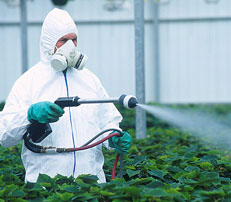 Man spraying Pesticide