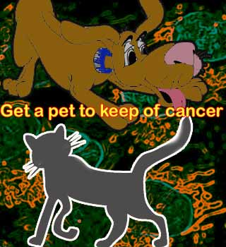 Pet, Cancer Cell