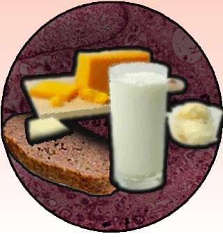 Prostate cancer, Meat, Dairy