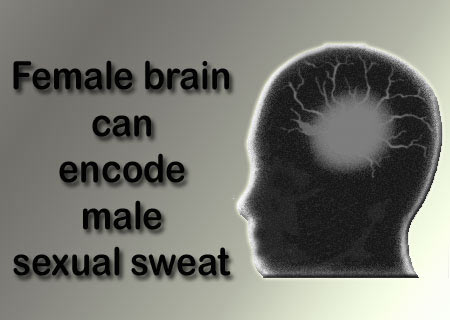 Female brain encodes male sexual sweat