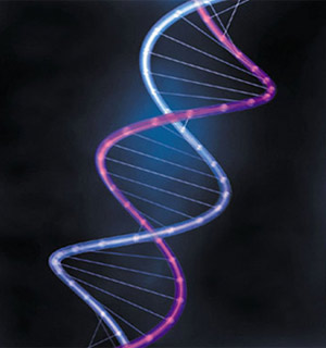 Genes in DNA