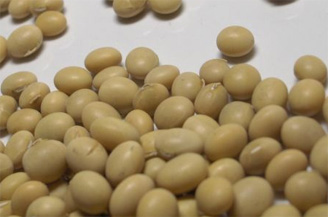 Soybeans to reduce Hot Flashes