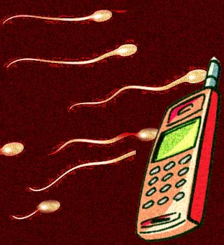 Sperms,Mobile Phone