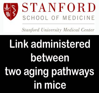 Stanford School of Medicine study
