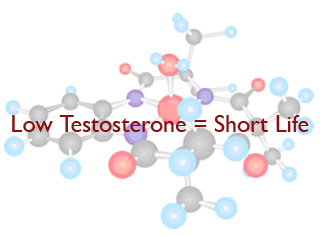 Testosterone Hormone