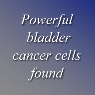 Text Bladder Cancer