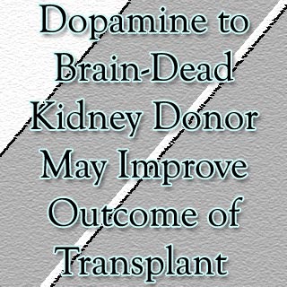 Text Dopamine kidney