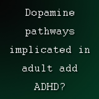 Text Dopamine Pathways