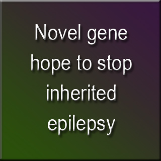 Text Epilepsy