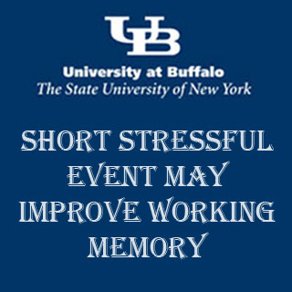 Text, University at Buffalo Logo