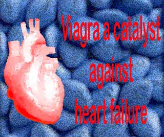 Viagra prevents heart failure