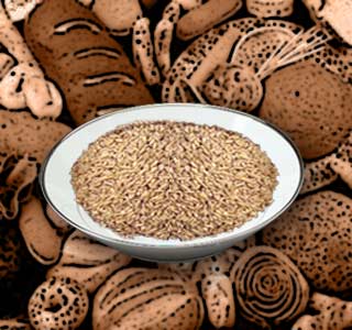 Whole Grains, Products