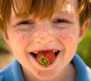 A Boy Eating Strawberry