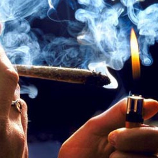 Cannabis Strains Linked