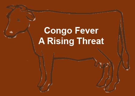 Congo Fever