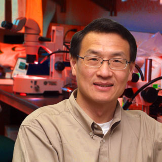 Dr. Lin Mei