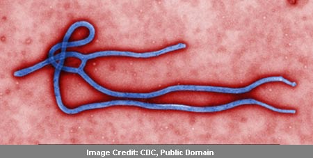 Ebola Virus Virion