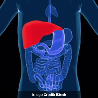 Graphics Of Internal Organs