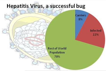 Hepatitis Virus Statistics