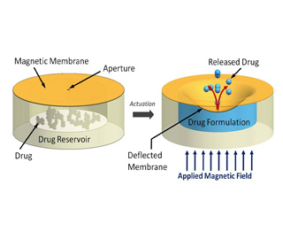 Magnetic Membrane Drug