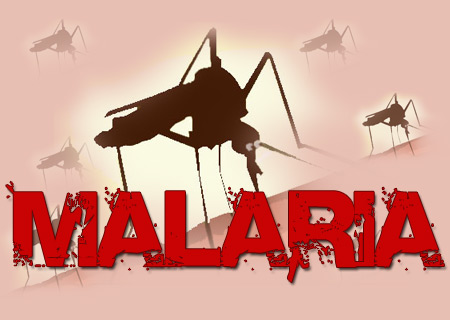 Mosquito Malaria Epidemic