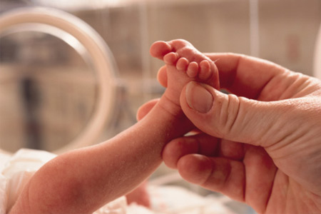 Newborn Infants Feet
