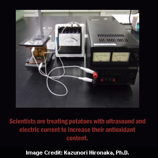 Potatoes With Ultrasound