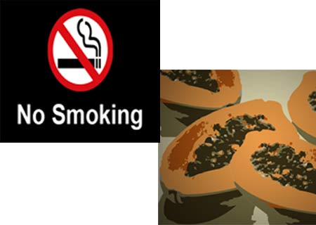 Papaya Fruit Smoke Sign