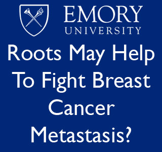 Text Cancer Emory