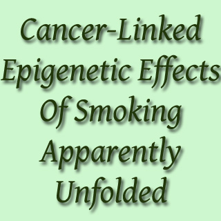 Text Epigenetic Effects