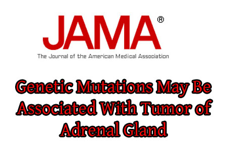 Text Gland JAMA Logo
