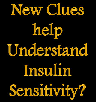 Text Insulin Sensitivity