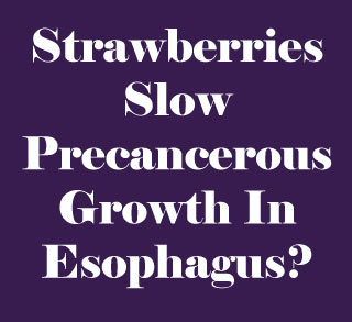 Text Strawberries Slow