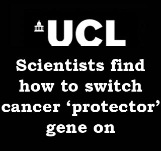 UCL Text Cancer Gene