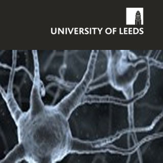 University Leeds Neurons